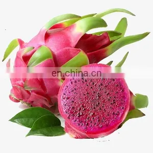 Dragon Fruit in Vietnam is Rich in Nutrients at the Best Price thumbnail-4