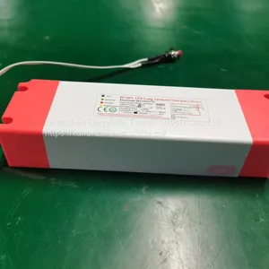 New Integrated Emergency Led Driver Power Supply 100% Power Emergency Device With Customized thumbnail-4