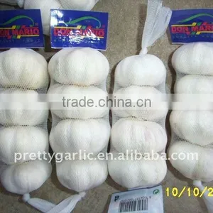 Chinese Fresh Pure White Garlic Pre-packed thumbnail-1