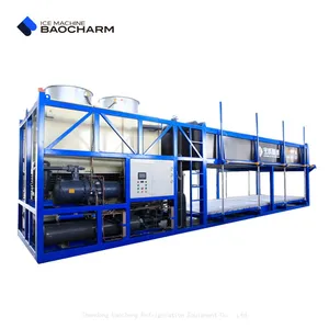 BAOCHARM 10 Tons Daily Production Industrial Block Ice Machine in South Africa thumbnail-4
