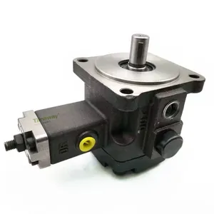 PVF Variable Vane Pumps PVF-30(40)-20/35/55/70-10 Hydraulic Single Pumps Displacement Vane Oil Pump PVF-30 PVF-40 thumbnail-1