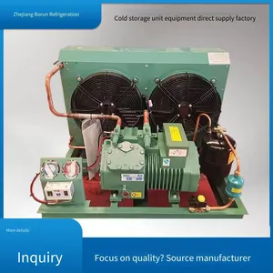 Dual-temperature Cold Storage, Borun Refrigeration, Shenzhen Cold Storage Unit, 5 Hp, 4yd - 3.2, Guaranteed Reputation, Using Emerson Copeland Compressor, Guaranteed Reputation, Guaranteed Reputation thumbnail-5