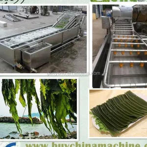 Seaweed Washing Machine/Industrial Washing Drying Machine/seaweed Nitrate Packaging Machine thumbnail-2
