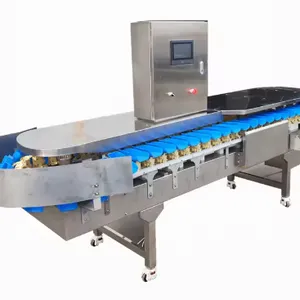 Professional Seafood Weight Sorting Machine Fish,shrimp,Oysters,Prawns,Scallops,Squid Weight Selecting Machine thumbnail-2