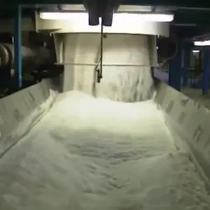 Beet Sugar Processing Line thumbnail-3