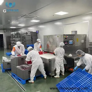 Most Popular Industrial Microwave Drying Line for Food Manufacturing Plant Continuous Microwave Dryer Machine thumbnail-1
