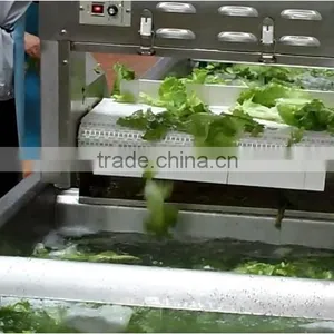 TJ - 309 Production Line Connected Large Type Vegetable Cutter thumbnail-3