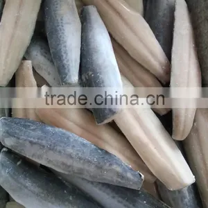 Spanish Mackerel King Fish Fillet thumbnail-2