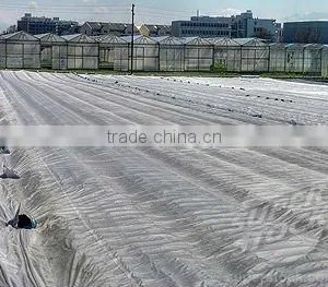 Nonwoven Frost Protection Cover thumbnail-5