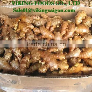 SPECIAL - 2016 - FROZEN GINGER GOOD QUALITY FROM VIET NAM thumbnail-6