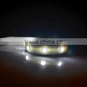 Luminous Dog Collars, 5050 LED Strip LED Collars, 2.5cm Width,locking Dog Collar thumbnail-3