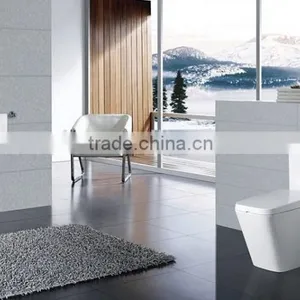 China Sanitary Ware Ceramic Two Piece Toilet thumbnail-2