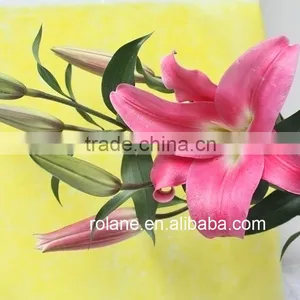 Cheap And Good China Hot Selling Fresh Cut Lilium From YUNNAN Planting Base thumbnail-3