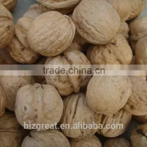 China OriginBulk Walnut in Shell thumbnail-2