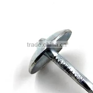 Factory Professional High Quality of China Umbrella Head Roofing Nails thumbnail-3
