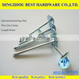 Galvanized Ring Shank Roofing Nail With Umbrella Head thumbnail-1