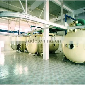 JDG Series Vacuum Lyophilizer for Food thumbnail-1