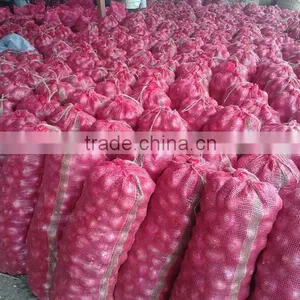Fresh Organic Red Onion for Sale thumbnail-3