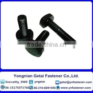 T Shape Bolts for Slot, DIN933/931 H.D.G / Galvanized With Black /yellow Zinc Plated/blue White thumbnail-3