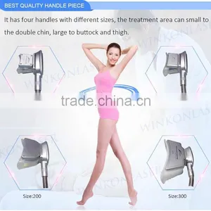 2016 Non-invasive no Surgery Best Weight Loss Machine Cryolipolysis for Fat Reduction thumbnail-6