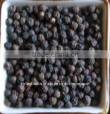 Black Pepper thumbnail-1