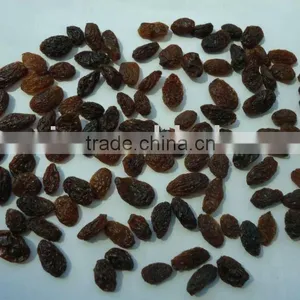 Black Raisin thumbnail-1