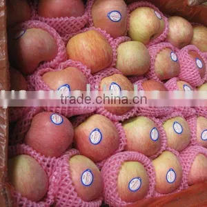Top Fuji Apple thumbnail-1