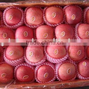 Chinese Fresh FUJI Apple thumbnail-1