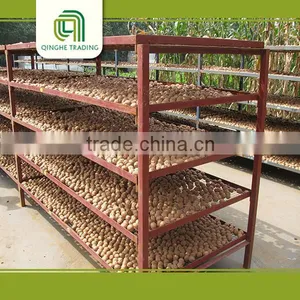 Natural High Quality Walnut Kernels Walnut Without Shell 18mm-24mm thumbnail-5