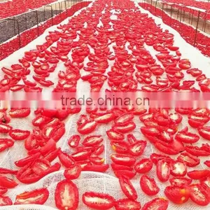 Chinese New Crop Dry Tomato Production thumbnail-3