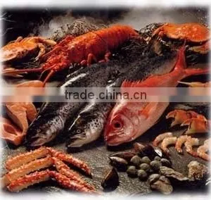 FISH FLAVORS/SEASONINGS thumbnail-1