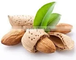 Sweet Almond Oil Wholesalers, 100% Pure and Natural, in Carrier Oil thumbnail-5