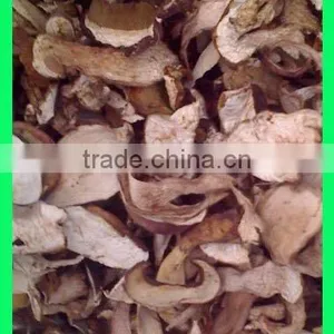 Grade A Dry Boletus Edulis Slice Dry Wild Mushroom thumbnail-3