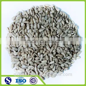 New Crop Health Sunflower Nuts Kernels thumbnail-1
