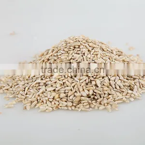 New Crop Confectionary Sunflower Seed Kernels thumbnail-2
