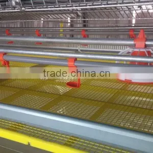 Poultry Equipment Broiler Cage thumbnail-1