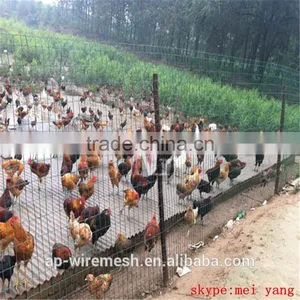 Low Cost Dutch Mesh Fence / Pvc Coated Wire Mesh Fence thumbnail-2