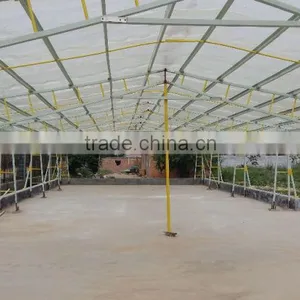 Large Multi-span and Fire Retardant Breeding Greenhouses , Pig House , Pig Shed thumbnail-4