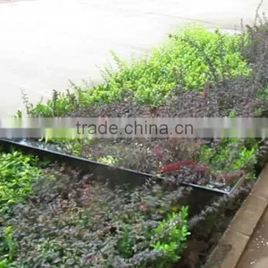 Tractor Front Loader Mounted Hedge Cutter / Hedge Trimmer thumbnail-1