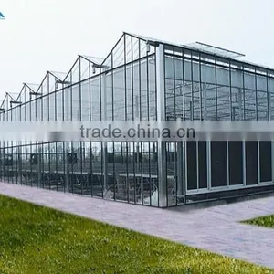 Economical Large Multi- Span Greenhouse for Tomatos thumbnail-2