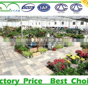 High Quality Venlo Greenhouse thumbnail-1