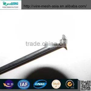 Polished Galvanised Round Common Nail thumbnail-3