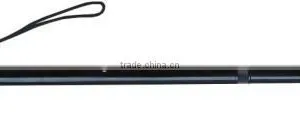 Walking Stick thumbnail-1