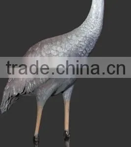 Brolga Crane thumbnail-1