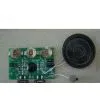 Recordable Voice Module thumbnail-1