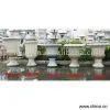 Sell Garden Flower Plant thumbnail-1