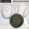 Professional Baseball thumbnail-1
