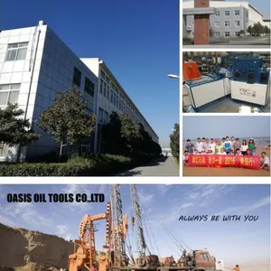 Oasis Oil Tools Co.,ltd. company overview - view 1 thumbnail