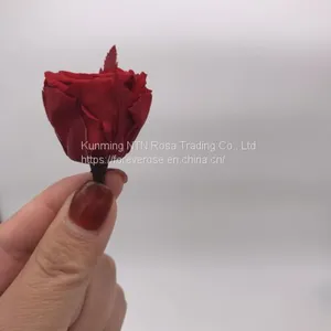 Factory Supply Wholesale A GRADE Best Quality China Preserved Roses thumbnail-5