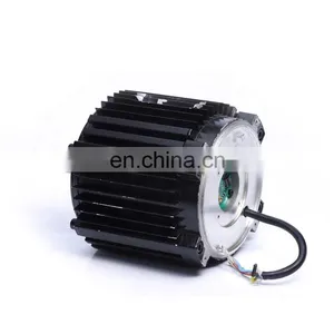 Custom 220Vac 1000w 2000w 250w 2kw 36v 250w 3000w Bldc Hub Motor Car Brushless dc Motor thumbnail-1